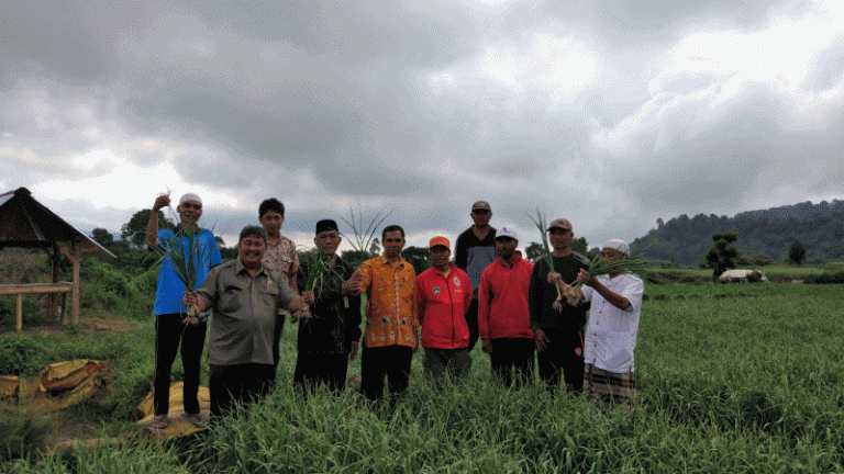 Pemantauan Lokasi Penanaman Bawang Putih Di Kecamatan Sembalun Oleh ...